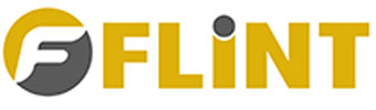 Flint International Logo